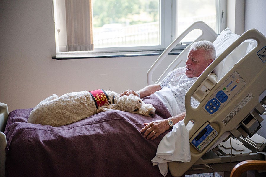 Senior Patient with a Therapy Dog in Hospital Bed