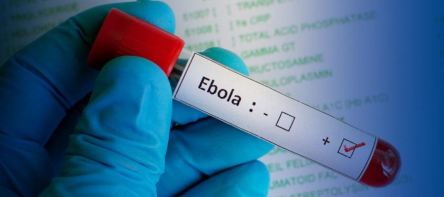 Gloved hand holding vial that says "Ebola" 